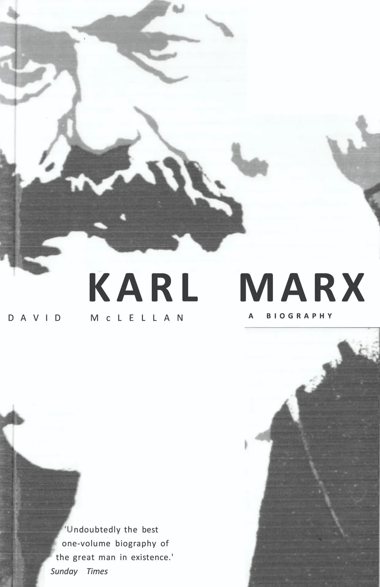 Karl Marx - David McLELLAN